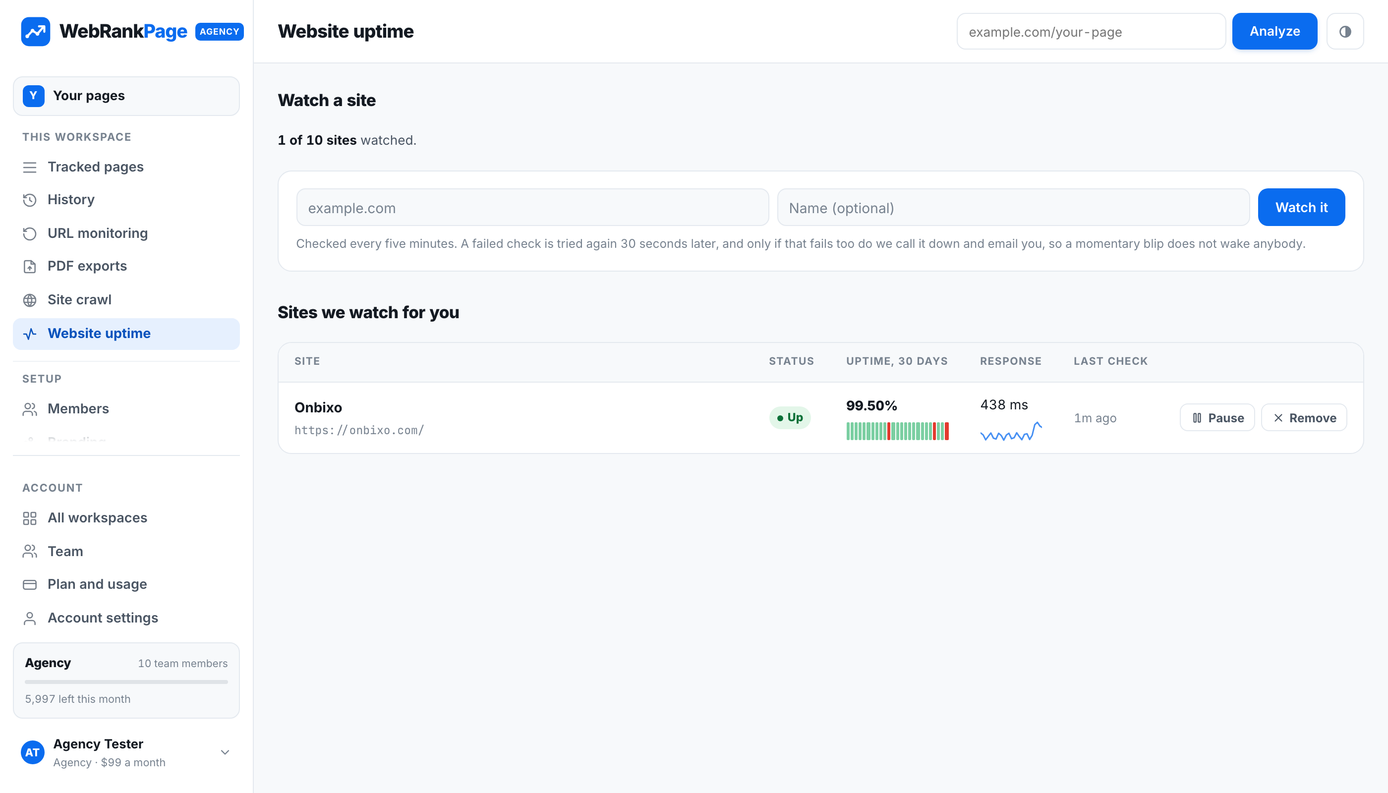 Uptime: current status, availability over the window, and response time.